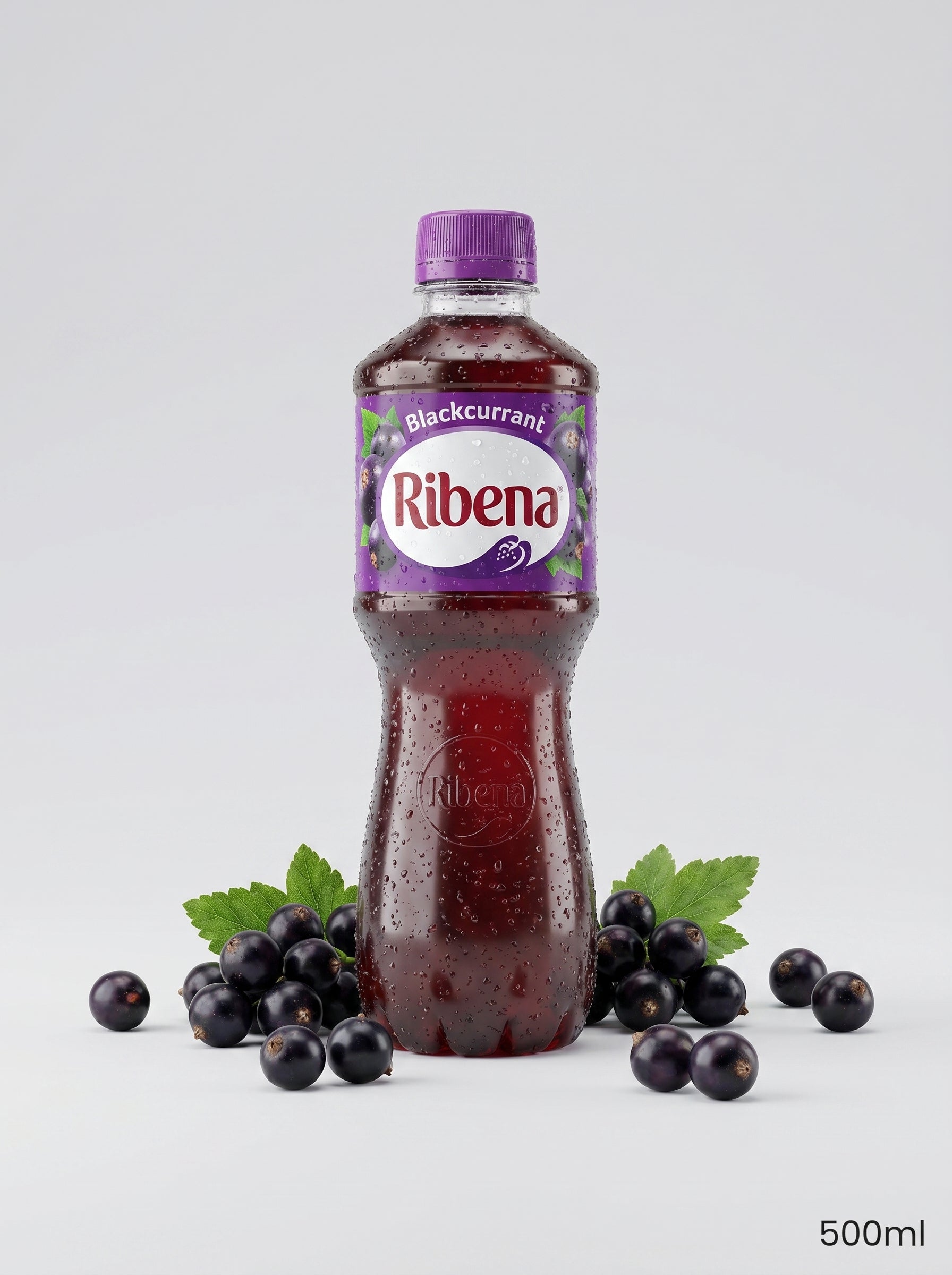 Ribena Blackcurrant Juice Drink 500ml Bottle
