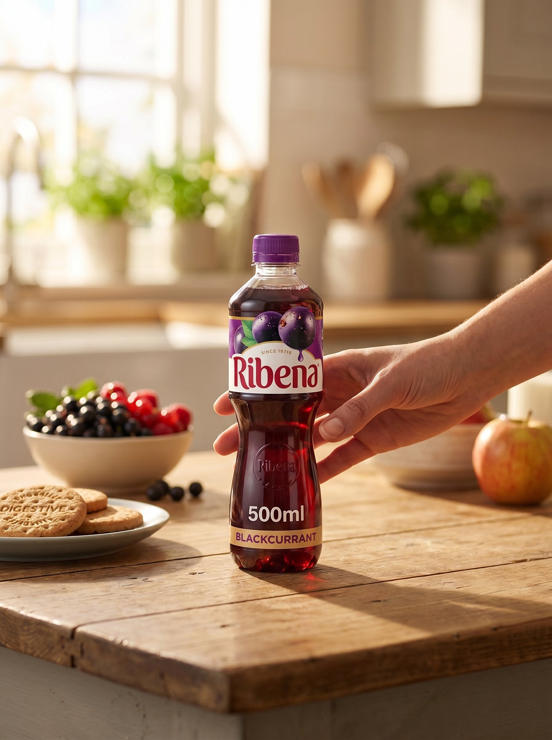 Ribena Blackcurrant Juice Drink 500ml Bottle